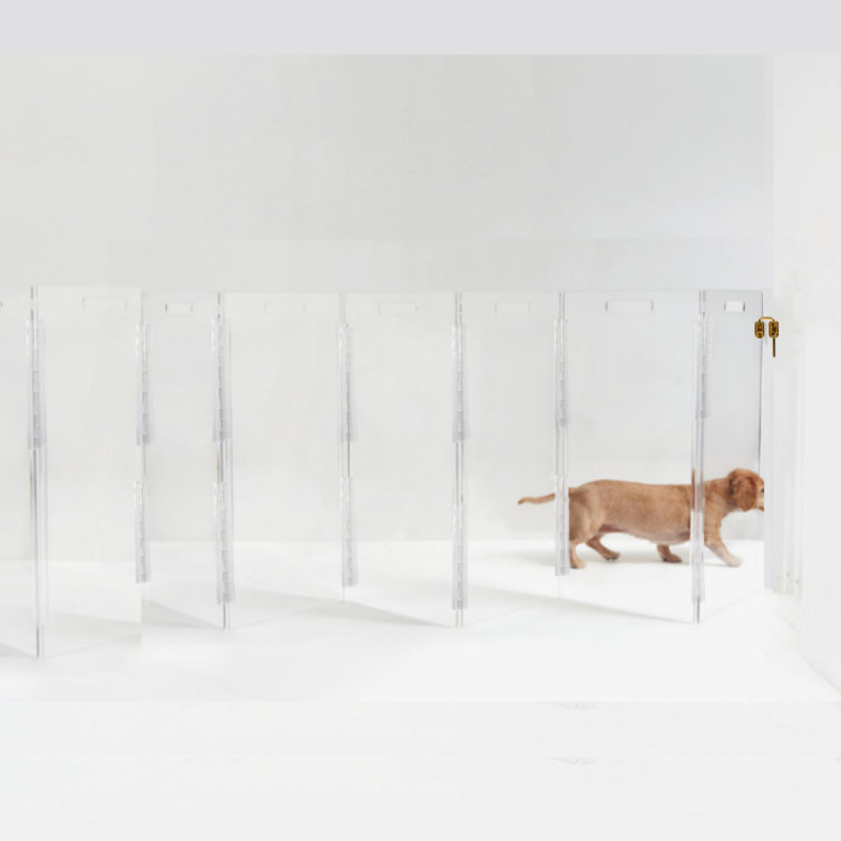 Hiddin Clear Zig Zag Pet Gate Wall Mounted Pet Gate with Gold Latch